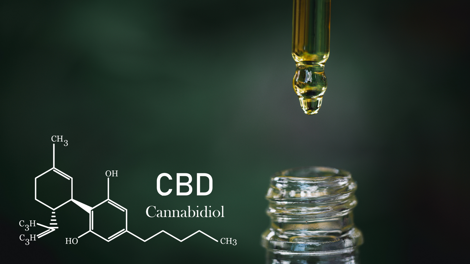 The Science Behind CBD: How It Interacts with Your Body